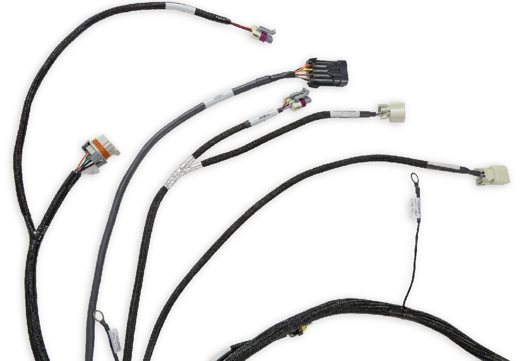 HOLLEY EFI MAIN HARNESS,LS2/3/7+,58X,4X,EXTENDED