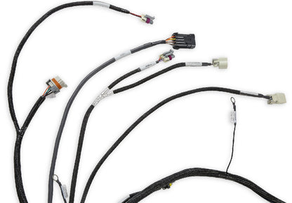 HOLLEY EFI MAIN HARNESS,LS2/3/7+,58X,4X,EXTENDED