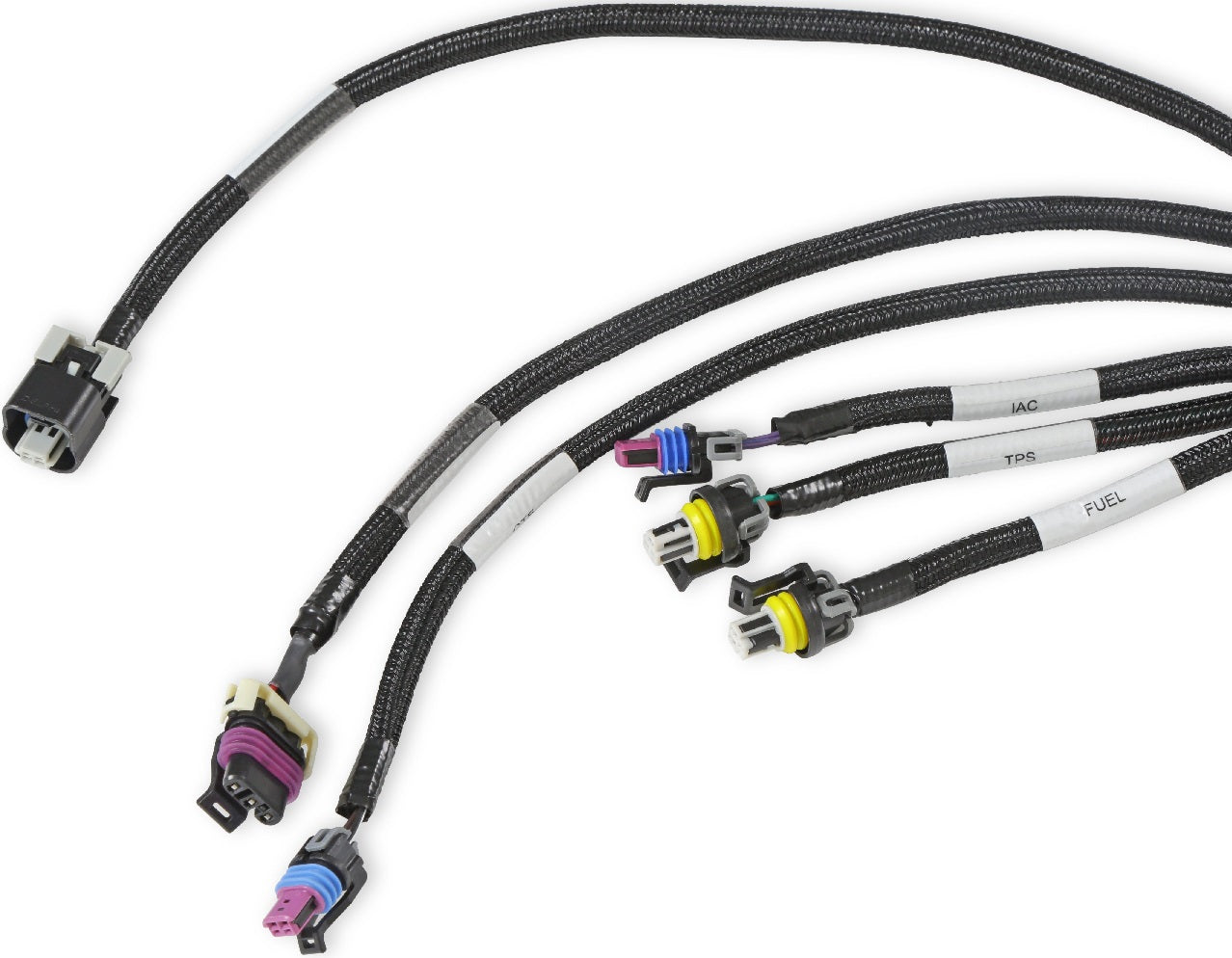 HOLLEY EFI MAIN HARNESS,LS2/3/7+,58X,4X,EXTENDED