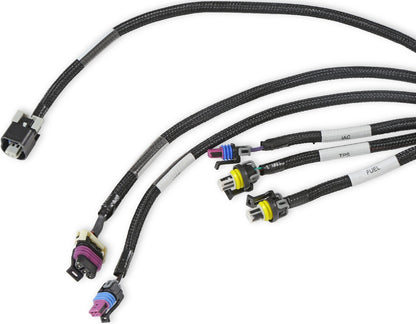 HOLLEY EFI MAIN HARNESS,LS2/3/7+,58X,4X,EXTENDED