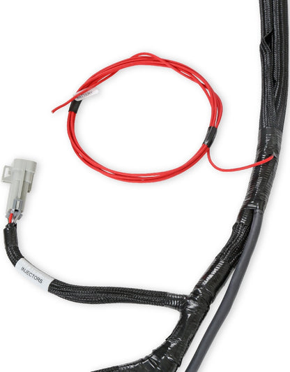 HOLLEY EFI MAIN HARNESS,LS2/3/7+,58X,4X,EXTENDED