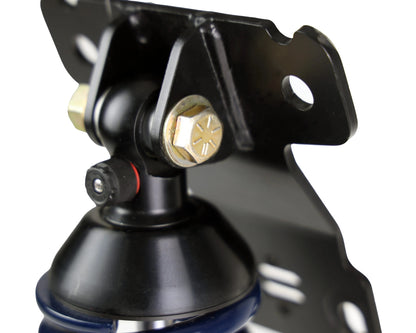 HQ REAR COILOVERS,2015-2026 FORD MUSTANG