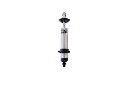 SHOCK,PROMA STAR C-O S-ADJ 11.63,16.88 EYE-B/EYE-B